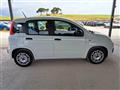 FIAT Panda 1.0 firefly hybrid s&s 70cv 5p.ti