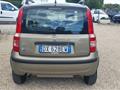 FIAT PANDA 1.2 Dynamic Natural Power