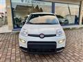 FIAT PANDA 1.0 FireFly S&S Hybrid - KM0