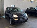 FIAT PANDA New Panda 1.0 FireFly S&S Hybrid