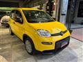 FIAT PANDA 1.0 FireFly S&S Hybrid PANDINA