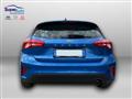 FORD FOCUS 1.5 EcoBlue 95 CV 5p. Business