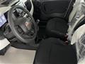 FIAT PANDA Pandina 1.0 FireFly 70 CV Hybrid Cross KM0 MY24