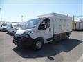 OPEL MOVANO 140CV CELLA A PIASTRE 6 SPORTELLI+PORTE POSTERIORI