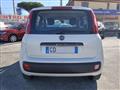 FIAT PANDA 1.2 Pop OTTIME CONDIZIONI, PREZZO REALE!!