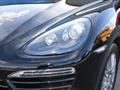 PORSCHE CAYENNE 3.0 DIESEL *TETTO*PASM*TAGLIANDATA*