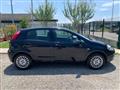 FIAT PUNTO 1.3 MJT II 75 CV 5 porte Lounge