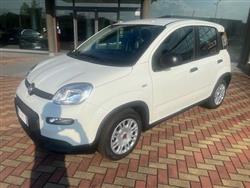 FIAT PANDA 1.0 FireFly S&S Hybrid (NOLEGGIO)