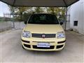 FIAT PANDA 1.2 Dualogic AUTOMATICA NEOPATENTATI