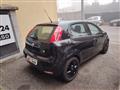 FIAT PUNTO 1.2 8V 5 porte Lounge NEOPATENTATI/PREZZO REALE