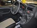 FIAT PANDA 1.2 Dynamic *OK GUIDA NEO PATENTATI*