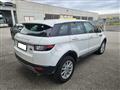 LAND ROVER Range Rover Evoque Evoque 2.0 td4 Pure 150cv 5p