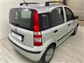 FIAT PANDA 1.2 Dynamic NEOPATENTATI