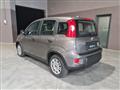 FIAT PANDA Hybrid 1.0 70cv