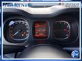 FIAT PANDA 1.0 FireFly Hybrid 70 Cv