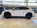 LEXUS NX NETTO EXPORT ART. 41 300h 2.5 Premium 4wd cvt