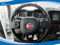 FIAT PANDA CROSS Hybrid 1.0 FireFly 70cv EU6