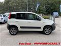 FIAT PANDA VAN 1.3 MJT 4x4