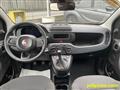 FIAT PANDA 1.0 FireFly S&S Hybrid Pandina **KM0** NEOPATENTAT