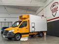 MERCEDES SPRINTER 311 CDI RWD frigorifero isotermico -20°