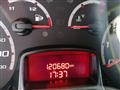 FORD Ka + 1.2 8V 69 CV Titanium