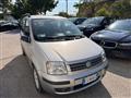 FIAT PANDA 1.2 Dynamic OK NEOPATENTATI CLIMATIZZATA