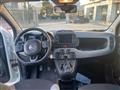 FIAT PANDA HYBRID CITY LIFE 1.0 70 CV