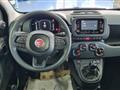 FIAT PANDA 1.0 FireFly S&S Hybrid Pandina