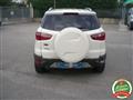 FORD ECOSPORT 1.5 TDCi 95 CV Plus - PRONTA CONSEGNA