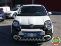 FIAT PANDA 1.0 FireFly S&S Hybrid Pandina