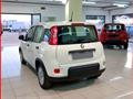 FIAT Panda 1.0 FireFly S&S Hybrid MY24 KM ZERO!!! IVATA NEOPATENTATI