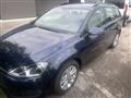 VOLKSWAGEN Golf Variant 1.6 tdi Comfortline Business 110cv dsg