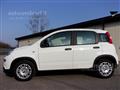 FIAT PANDA 1.0 FireFly S&S Hybrid Pandina