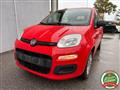 FIAT PANDA 1.2 Easy Climatizzata Neo Patentati