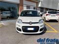 FIAT PANDA III 1.2 8v Easy NEOPATENTATI