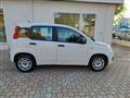 FIAT Panda 1.2 EasyPower Easy