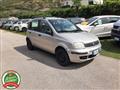 FIAT PANDA 1.1 Actual - OK NEOPATENTATI -