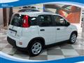 FIAT PANDA CROSS Hybrid 1.0 FireFly 70cv EU6