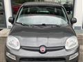 FIAT PANDA 1.2 Easy NEO PATENTATI!