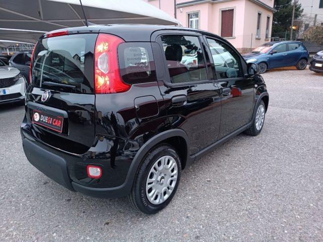 FIAT PANDA 1.0 FireFly S&S Hybrid Pandina
