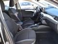 FORD FOCUS 1.5 EcoBlue 120 CV automatico 5p. Business Co-Pilo