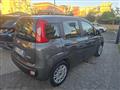 FIAT PANDA 1.0 FireFly S&S Hybrid Easy NO OBBLIGO DI FINANZ.!