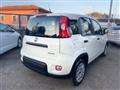 FIAT PANDA 1.0 FireFly S&S Hybrid *IVA ESPOSTA* NEOPATENTATI