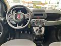 FIAT PANDA 3ª serie 1.0 FireFly S&S Hybrid