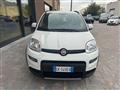 FIAT PANDA 1.0 FireFly S&S Hybrid Red