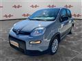 FIAT PANDA 1.2 EasyPower