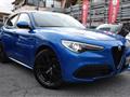 ALFA ROMEO STELVIO 2.2 Turbodiesel 210 CV AT8 Q4 VELOCE