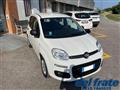 FIAT PANDA III 1.2 8v Easy NEOPATENTATI