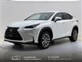 LEXUS NX Hybrid 4WD Executive Bianco perla-Navi-Sensori-ACC