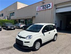 FIAT PANDA 1.0 FireFly S&S Hybrid Pandina